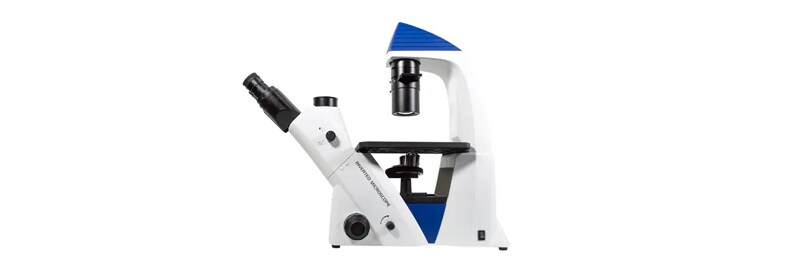 Inverted Microscopes