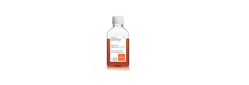 Media & Serum