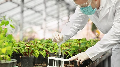 Leading the Way in Sustainability Innovation