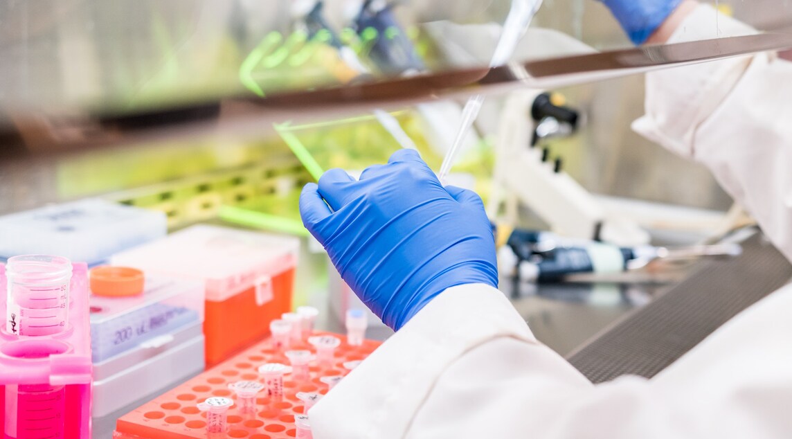 Behind the Bench Blog