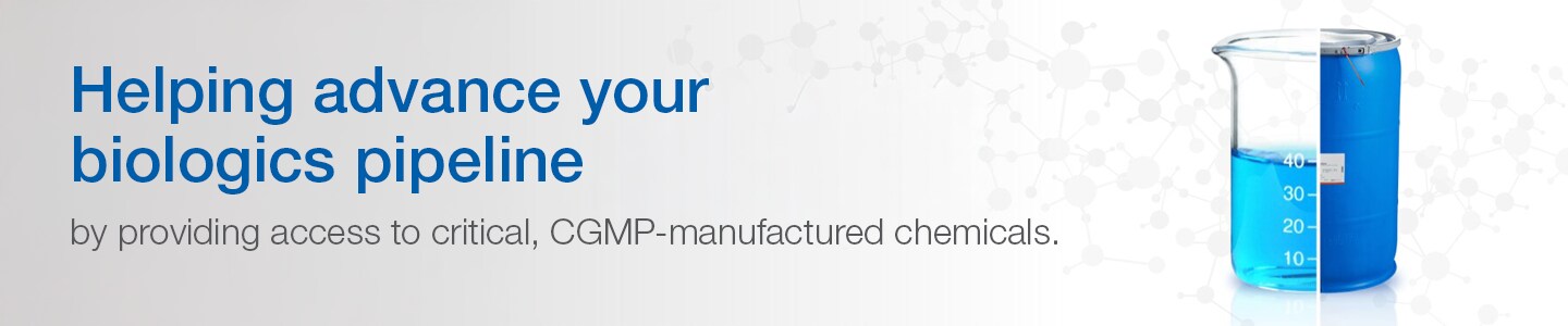 Thermo Scientific Production Chemicals and Services