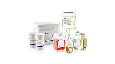 Cell Culture and Cell Therapy