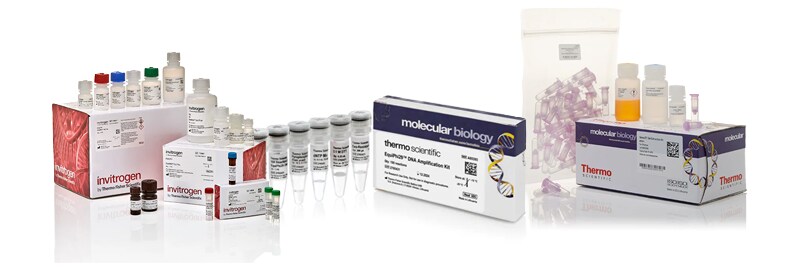 Molecular Biology Reagents and Kits