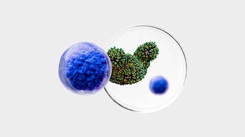 Cell Culture Reagents, Antibiotics, and Supplements