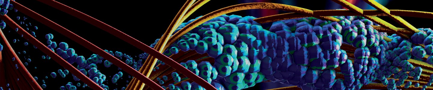 Inspiring Innovation