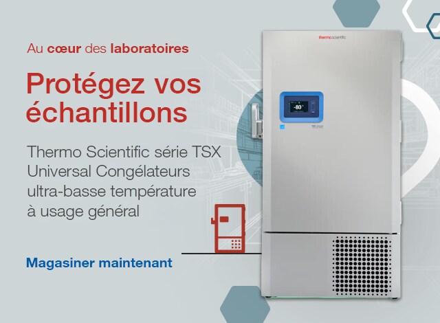 Au cœur des laboratoires
