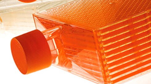 bioprocess seed