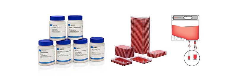 Bioprocessing Consumables