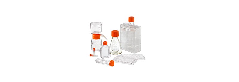 Cell Culture