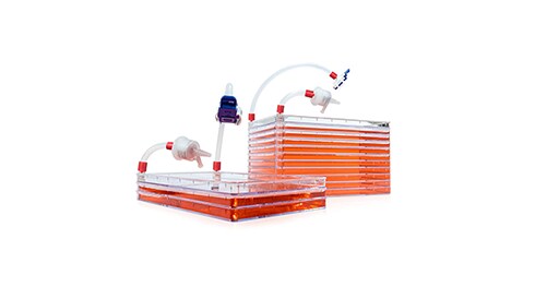 Customize Your Cell Culture Platform