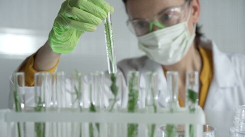 Advancing Agriscience in the Bioeconomy