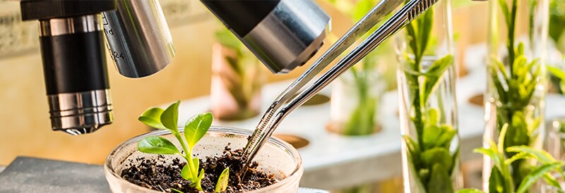 Crop Science Solutions