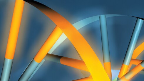 Nucleic Acid Synthesis Chemicals Brochure