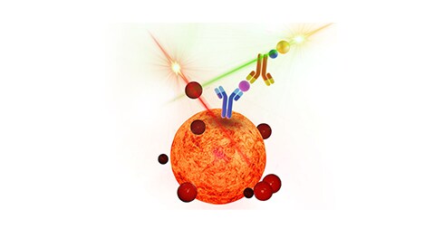  Luminex Assays