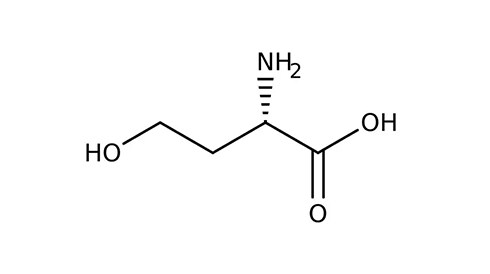 Amino Acids