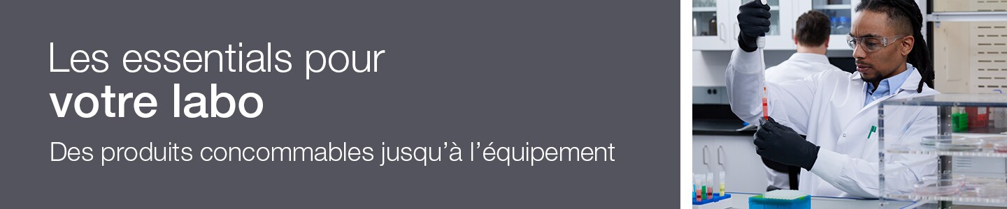 Les fondations du labo