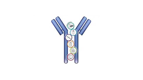 Protein and Gene Therapeutics