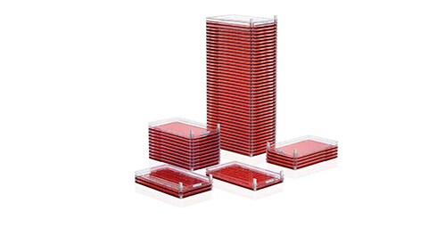 Adherent Cell Culture Solutions