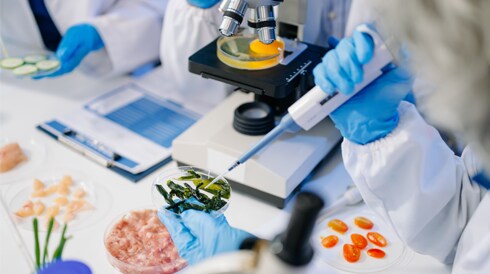 A Matter of Taste: How Food Science Is Improving What We Eat & Drink