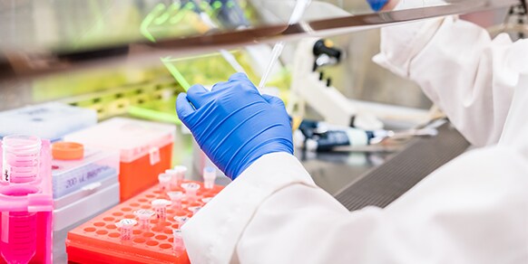 behind-bench-blog-2616 behind-bench-blog-2616