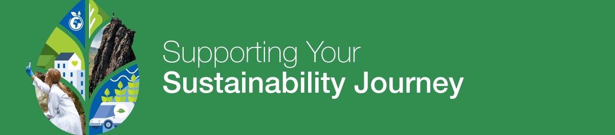 Sustainability Recycling Programs Sustainability Recycling Programs