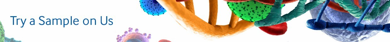 lsg-sample-page lsg-sample-page