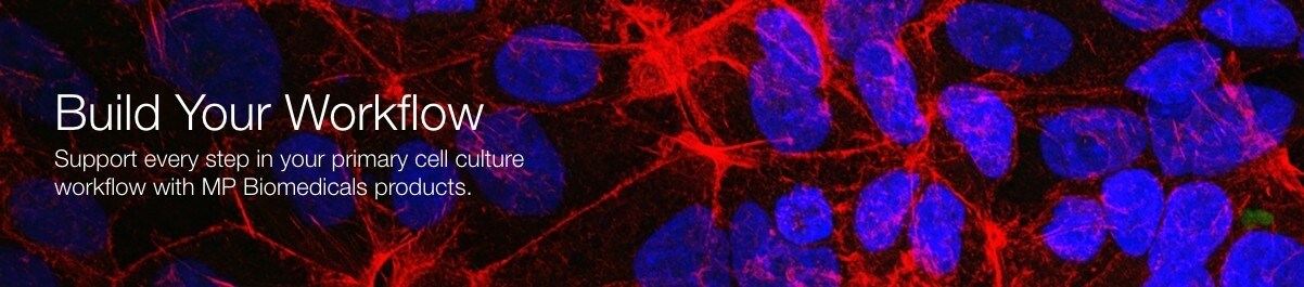 Build Your Workflow Build Your Workflow