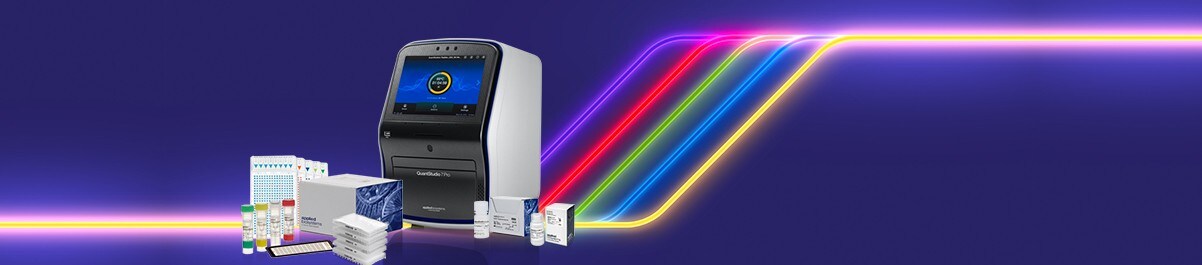 banner-d-21-1428 banner-d-21-1428