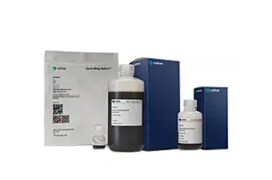 DNA Extraction and Purification DNA Extraction and Purification