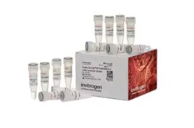 PCR Supplies PCR Supplies