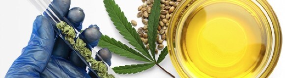 Science et services liés au cannabis