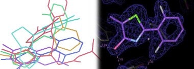 maybridge-fluorine-compound-collection-study-poster