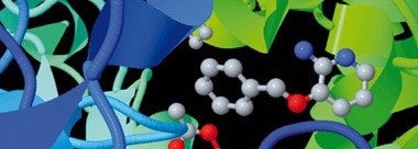 maybridge-hit-creator