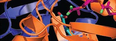 maybridg-ro3-Diversity-lIibrary