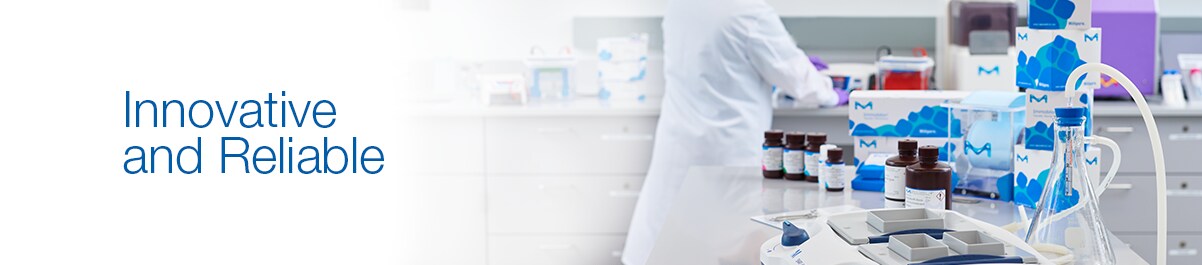 banner-d-fr-24-1499 banner-d-fr-24-1499