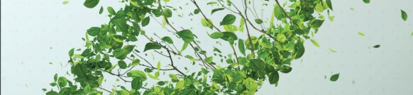 Brochure sur le d&eacute;veloppement durable de Corning