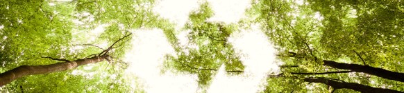 Rapporteur du laboratoire : Des solutions durables offrent aux laboratoires un choix plus &eacute;cologique