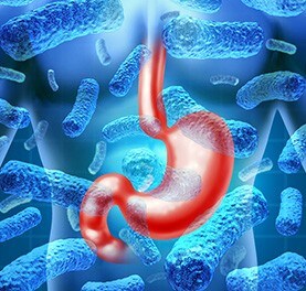 labreporter-norovirus-stomach