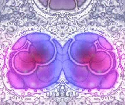 growing-cells-on-mirrors