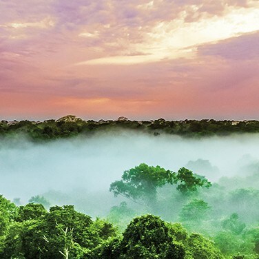 chemicals-amazon&rsquo;s-chemical-fingerprint-20-0662