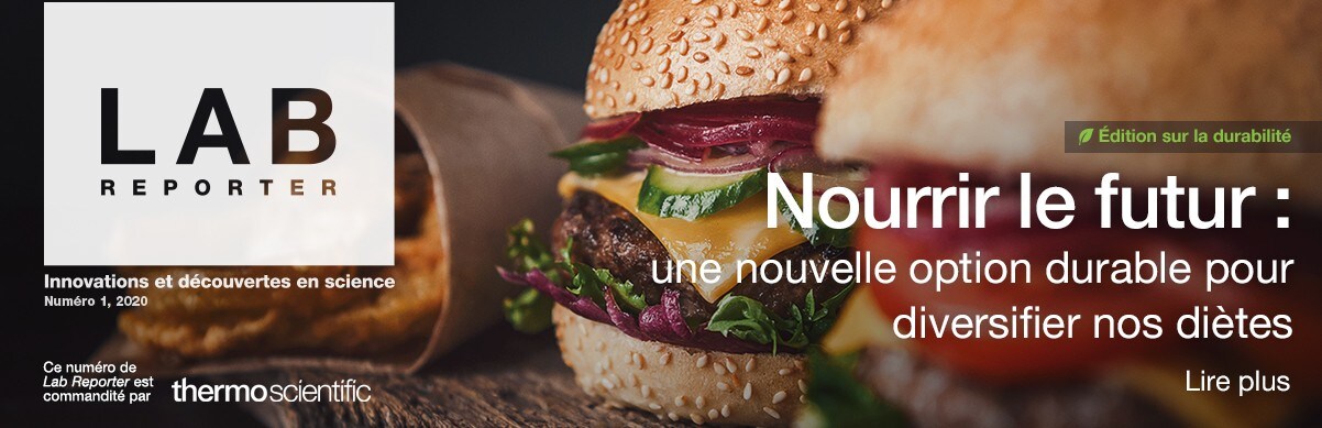 Nourrir le futur : une nouvelle option durable pour diversifier nos diètes Nourrir le futur : une nouvelle option durable pour diversifier nos diètes