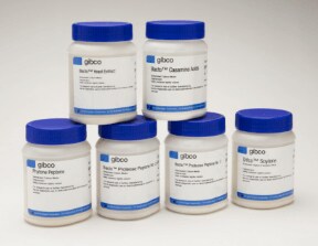gibco-peptone-22-663-0747 gibco-peptone-22-663-0747
