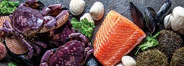 Fruits de mer avec un accompagnement de microplastiques