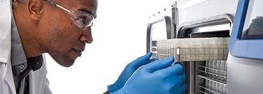 Pr&eacute;paration des &eacute;chantillons pour le stockage cryog&eacute;nique &agrave; long terme