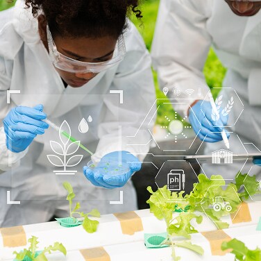 Une question de go&ucirc;t : Comment la science des aliments am&eacute;liore ce que nous mangeons et buvons