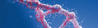 Simple, Fast, and Precise Gene Editing
