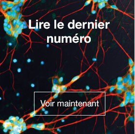 Read the Latest Issue