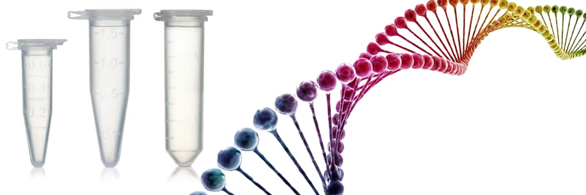 Sustainable Precision: Helping Ensure DNA Integrity with Low DNA Binding Snap Cap Microcentrifuge Tubes 